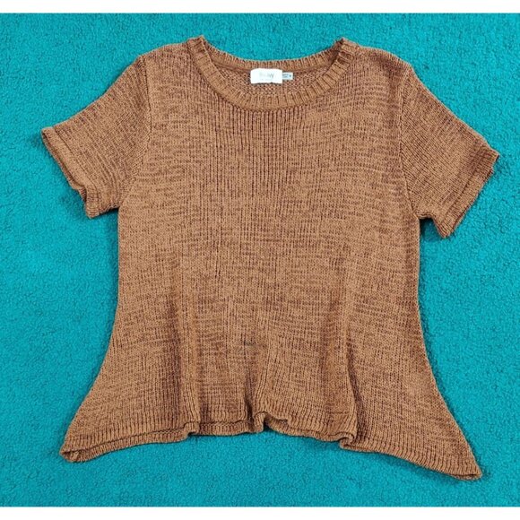Bluivy Women's Medium-Knit Short Sleeve Sweater Top Brown Sheer Pullover Size M - Picture 1 of 6